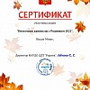 Сертификат_Миша.jpg