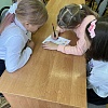 IMG_9257.jpg