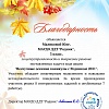 Благодарность_за_онлайн-каникулы_МАЛИКОВА.jpg