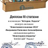 Диплом_3_ст_Педагог_История_Камушкова.jpg
