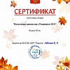 Сертификат_Юля.jpg